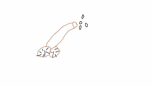 Item #90909327962140099911354508620957137831870305016659699435009796524053243101185 Media