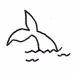 Whale tail 
