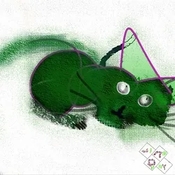 The Odd Cat