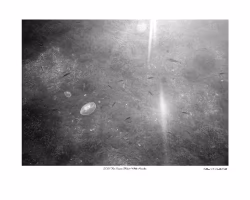 Item #24600310660482288606297797528155087939323639147399647196853483689718795206657 Media