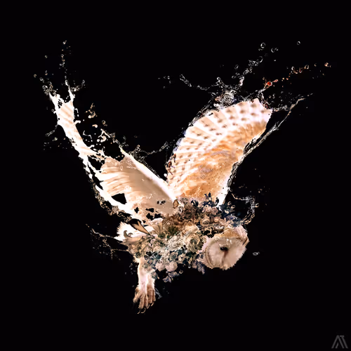 Item #26933090564671490724955718680642040382525628384000115065717975094325053227009 Media