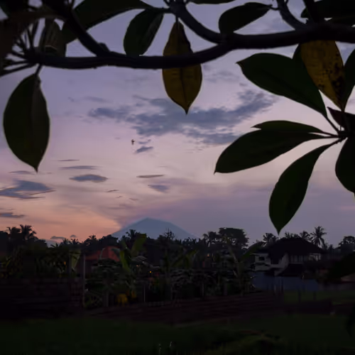 5am 