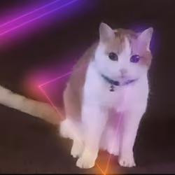 chloe da cat