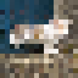 Item #46698658292401103272501478394963202359430575555652960577176855967159822581761 Media