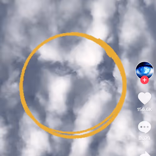 Untitled Collection #264394578