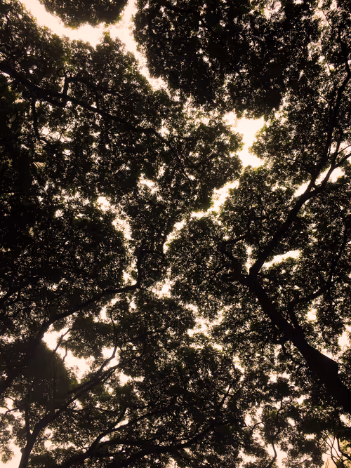 Item #19933179109955283826433224080904721000141254705246350990060094046119475019777 Media