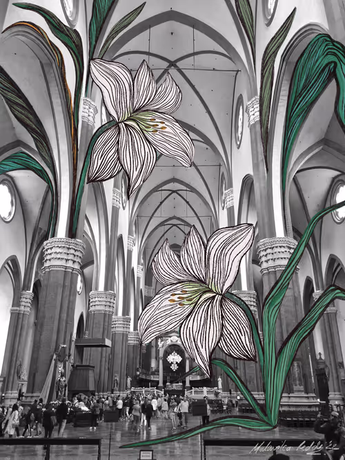 Item #40449787652065743018640773044495240111019622512701765753694832709182720835585 Media