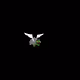 106030316146003792931847050358724854298407698802111518502628430423042157445121