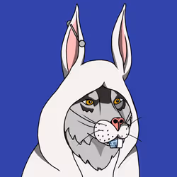 51321188512008469001046684898627879105664585088269524309230087237436824354817