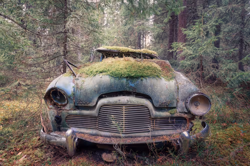 Item #48137969834760964202008615445069010109172114455099533143483873200429967867905 Media