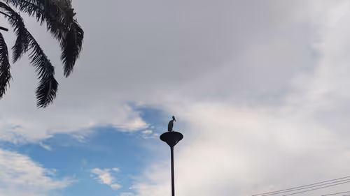 Item #79713203318427151500425127897516188982534148841473779850876404399192150114305 Media