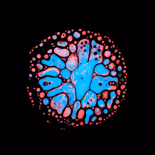 Haematopoiesis