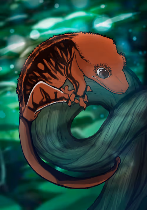 Item #23546686719633506406095790157609111049750244779414073605876924813133949698049 Media