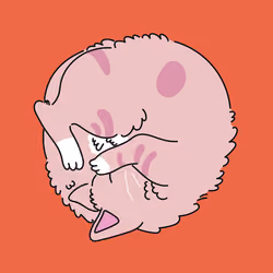 #1 rotating cat - pink