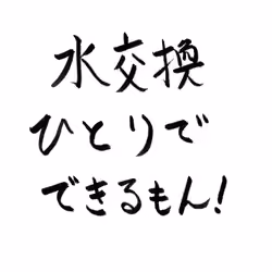 web3おじさんとmarimo