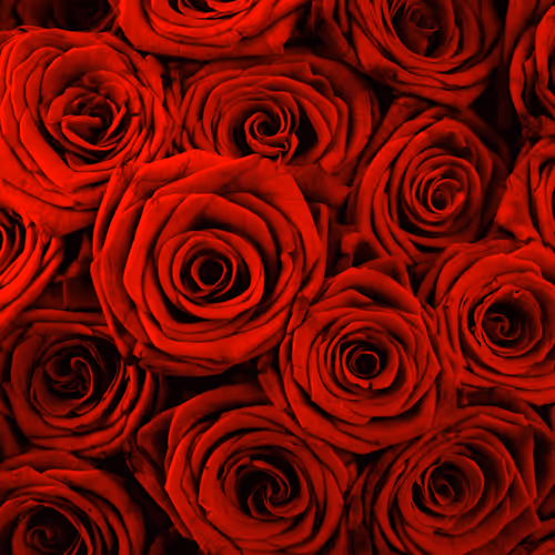 youdontknowme666 Collection