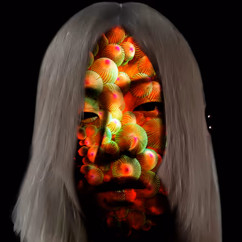 Item #90027293988038224220449632626584799523604618337544506490934228018850344992769 Media