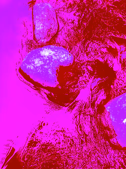 Item #98843954857266856101330559780238873570552098425130206222908041916499728793601 Media