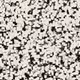 46922239658159811737543541864886293005980350845066259877862004339187208159233