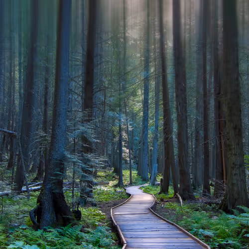 Untitled Collection #70864464