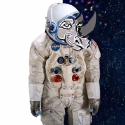 ROCKET RHINO