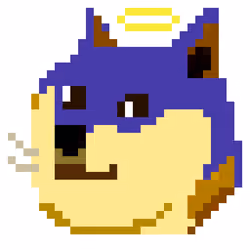 God is in the Doge #22