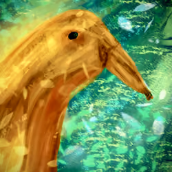 Duck Nana