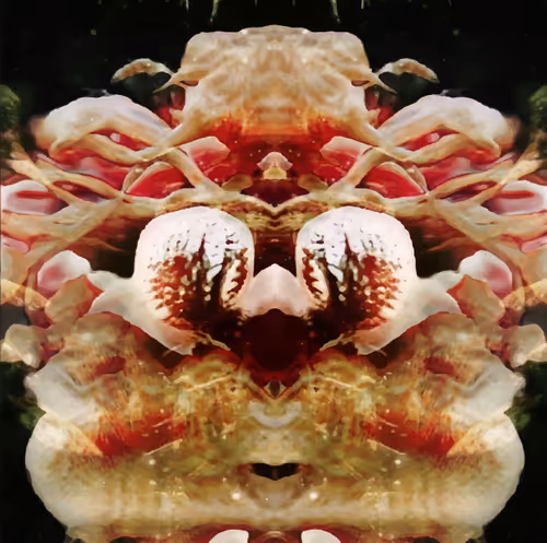 Item #46587444599907677881388917941552182193767250224418172546103463409429946302465 Media