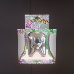 Spooky Shelly #49 THE SILVER ONE!!!!