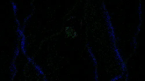 Item #1778353230477002650091891061715583616825762397325161028569481735276779798529 Media