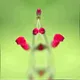 86322865835249178422551085128691778807953829915868126837986678297449637871617