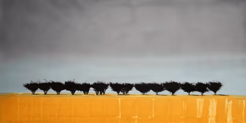 Item #13895770362792469734688406540771864633906230487145014712104887574674955829249 Media