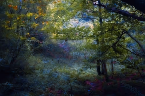 Item #97716626271628656101577116268185940007282338443253569412665055820912602906625 Media