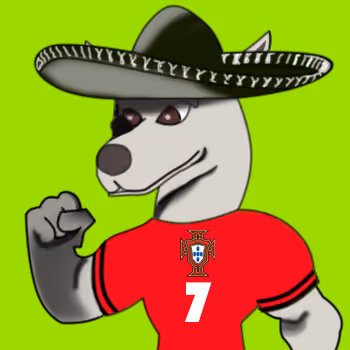 16308279497047244008062677820559047335803267304079974220205533816088550178817