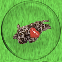 41776025324002017952572422073316458441069080831023694546850786347043780558849