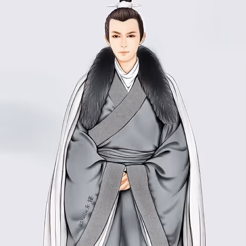 y273498456 Collection