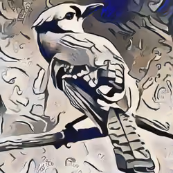 Birdie
