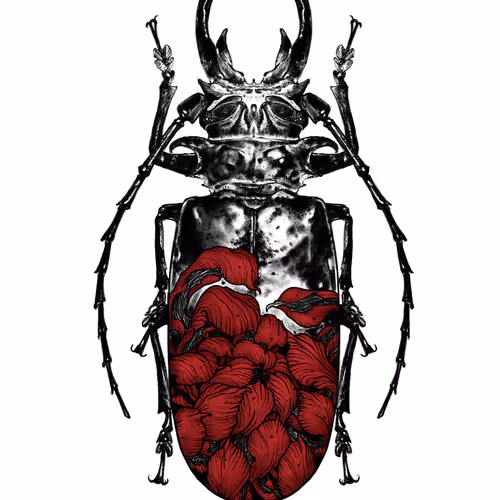 46249904455562773475688599099504527817987972257024118861202887699714751332353