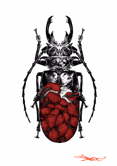 Item #46249904455562773475688599099504527817987972257024118861202887699714751332353 Media