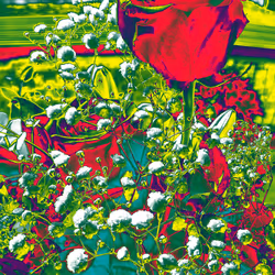 10162537437224382031479019658551907585229278444242708151782220052721488101377