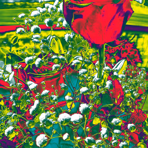 10162537437224382031479019658551907585229278444242708151782220052721488101377