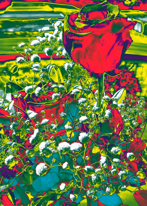 Item #10162537437224382031479019658551907585229278444242708151782220052721488101377 Media