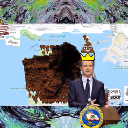 THE SHIT KING 