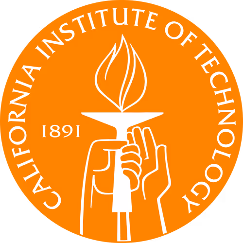 University Logo Nfts