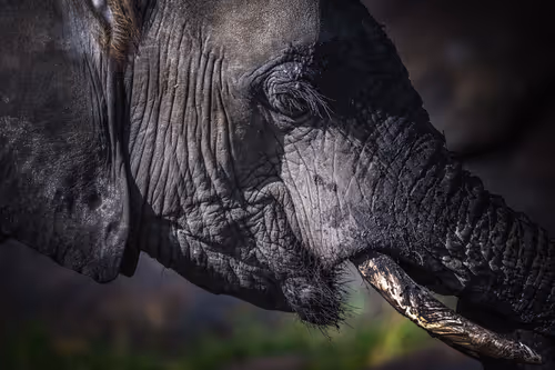 Item #46146454175190830687847236221543248864679735900060228179798027780298509385729 Media