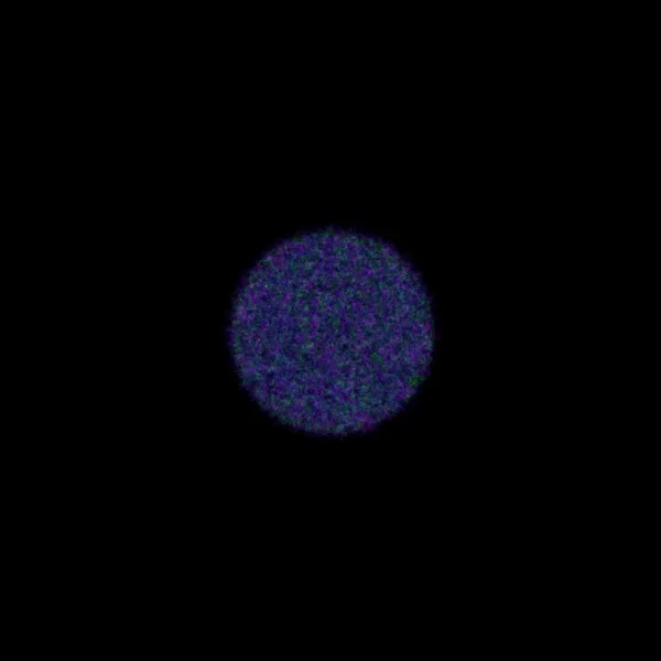 Physarum #214