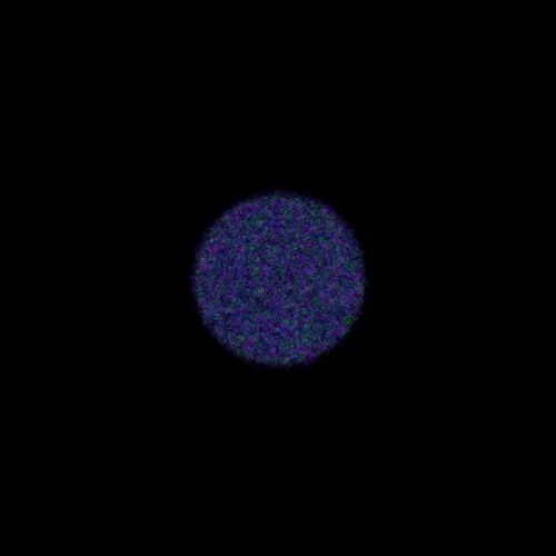 Physarum #214
