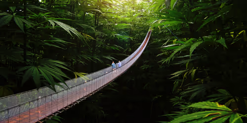 Item #88044896615726490958319355342714962775870440143382447097066745087342067843082 Media