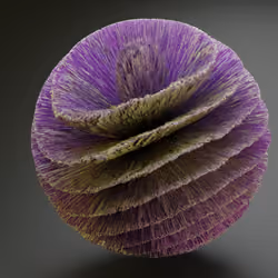 Flora #28 - Contemplation