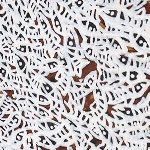 Item #6135615210838207181460231726623395431657623942646172617288677090010752614401 Media